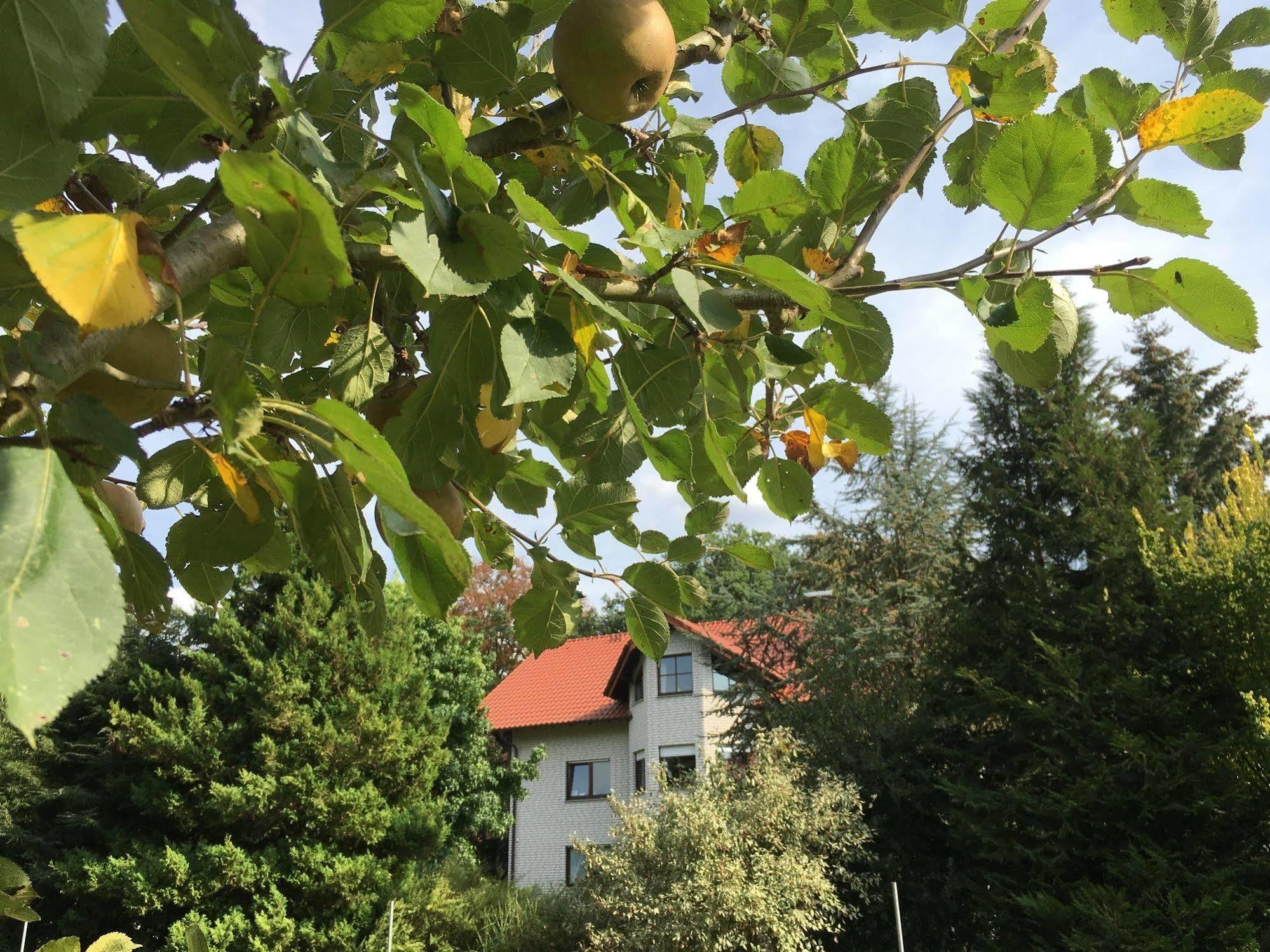 ホテル ランドハウス ゴーケ Hövelhof エクステリア 写真